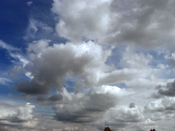 newyork-2009-pej-562