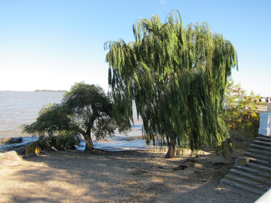 rogervisit-apr-2010-13