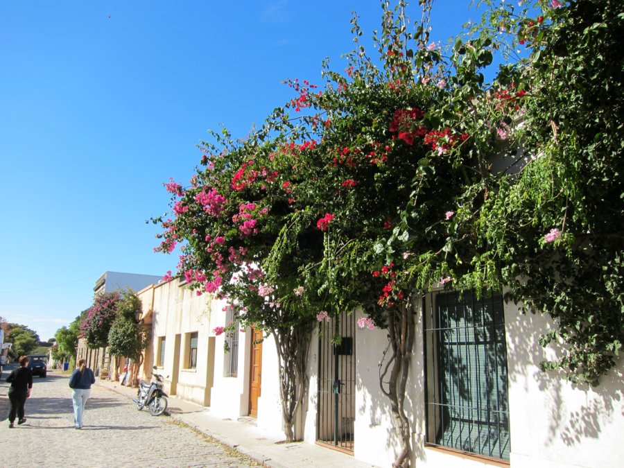 rogervisit-apr-2010-16