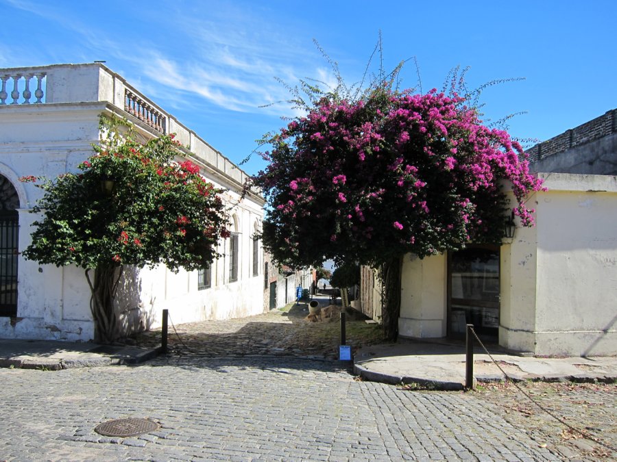 rogervisit-apr-2010-30