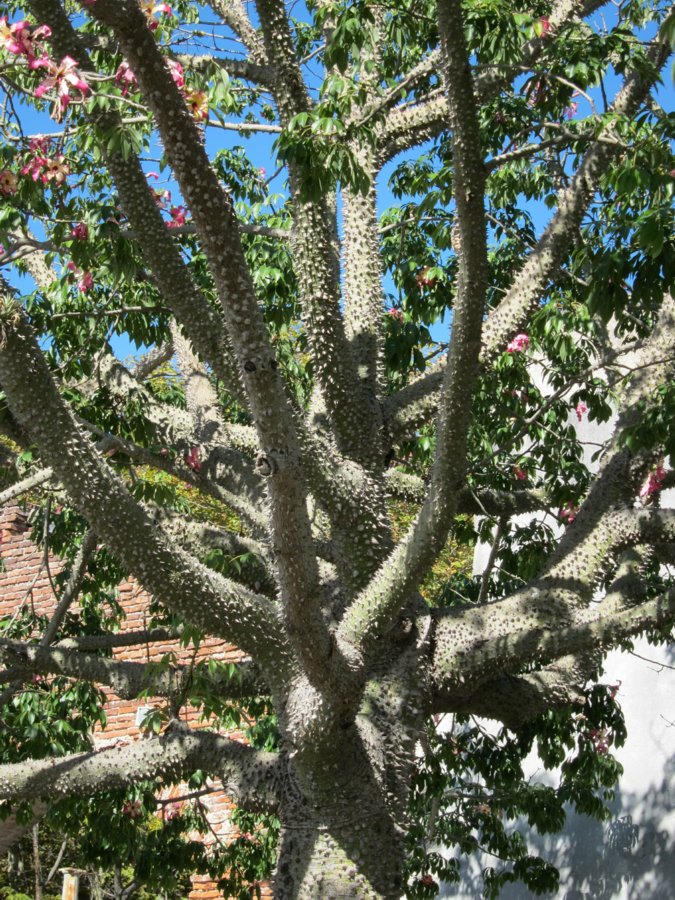 rogervisit-apr-2010-36