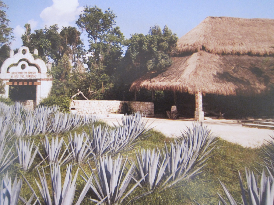 Cancun-2010-Arrivalandfirst3days-13