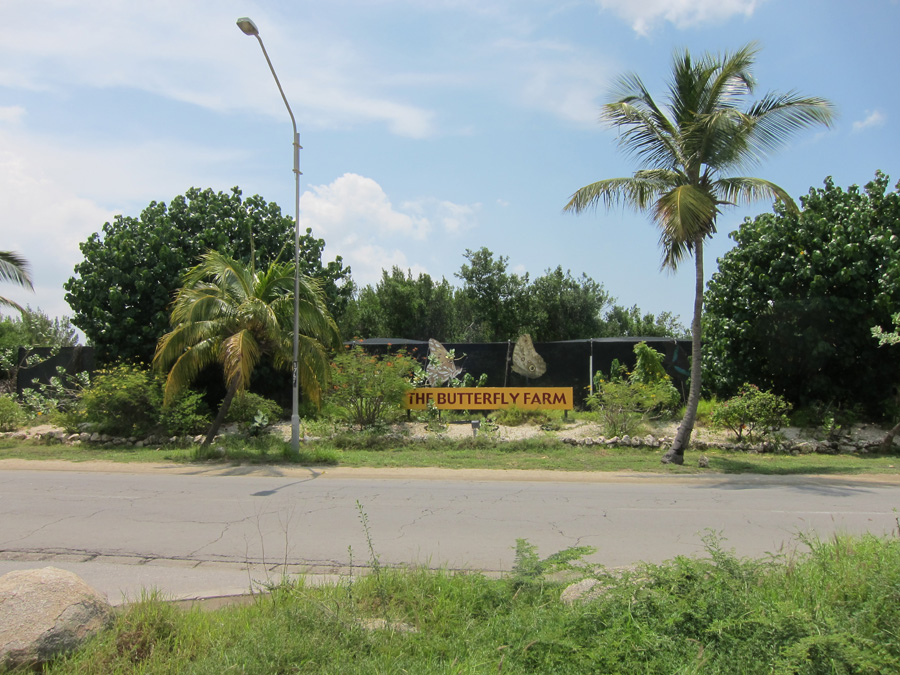 Aruba-2010-chapter5-14