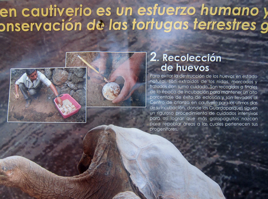 Galapagos-chpt-10-02