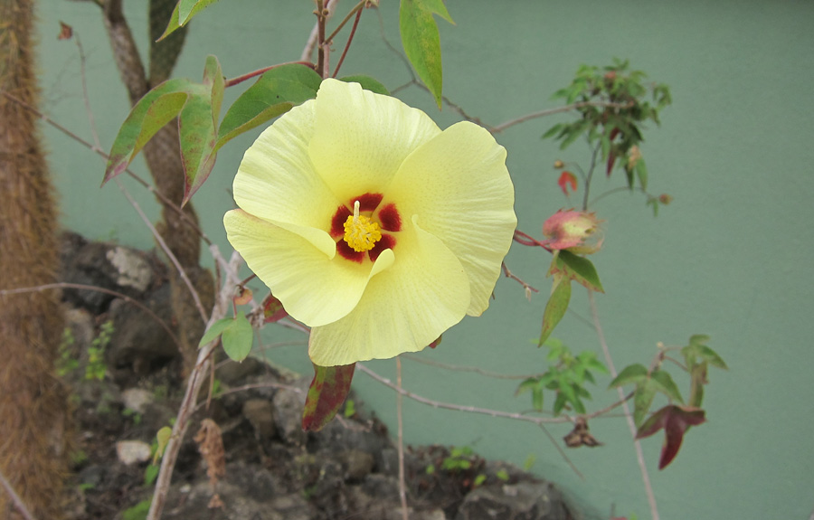 Galapagos-chpt-10-07