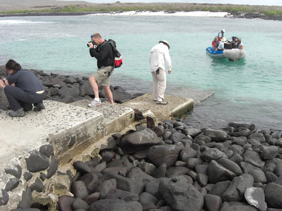 Galapagos-chpt-11-02