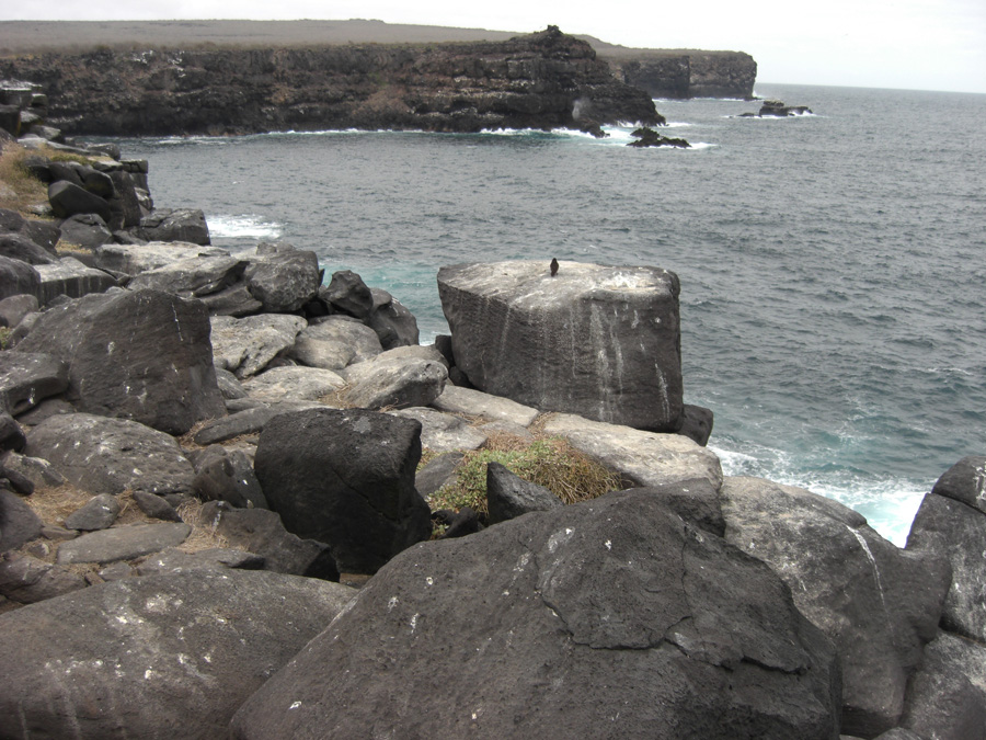 Galapagos-chpt-12-07