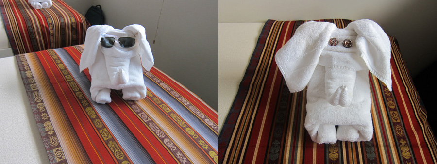 Galapagos-chpt-12-08