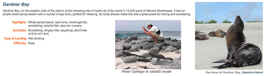 Galapagos-chpt-12-09