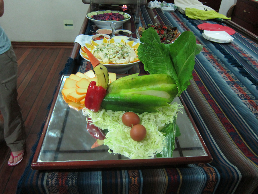 Galapagos-chpt-13-06