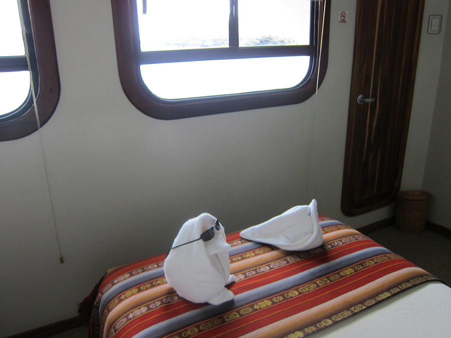 Galapagos-chpt-13-18