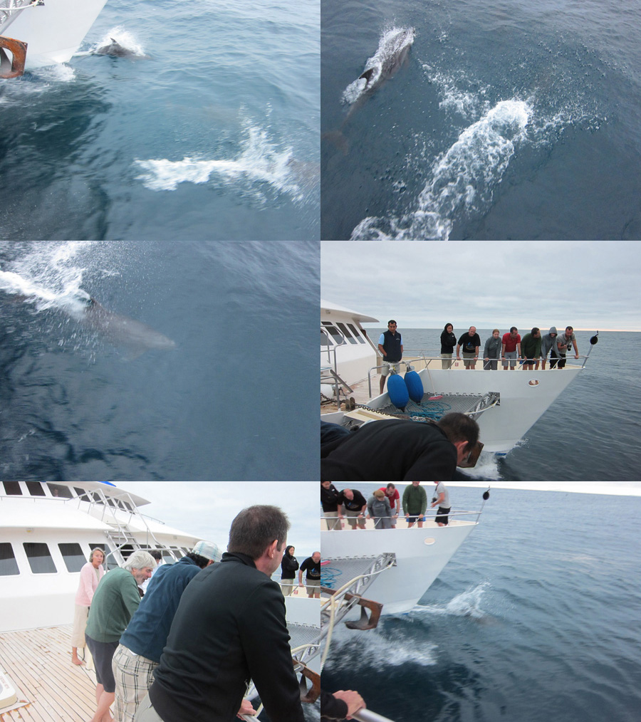 Galapagos-chpt-14-14