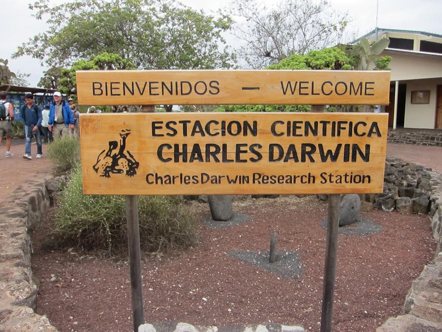 Galapagos-chpt-15-02