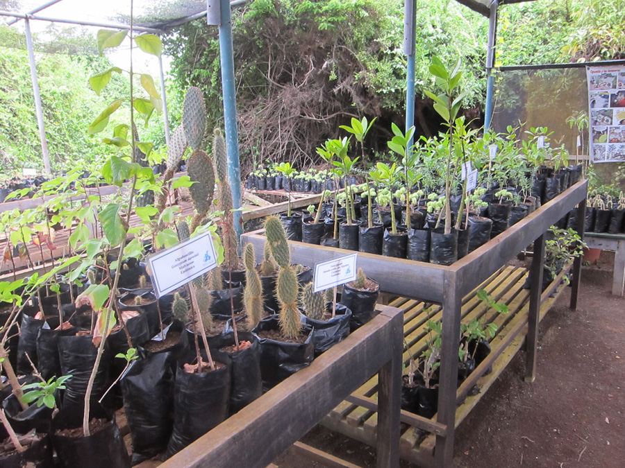 Galapagos-chpt-15-06