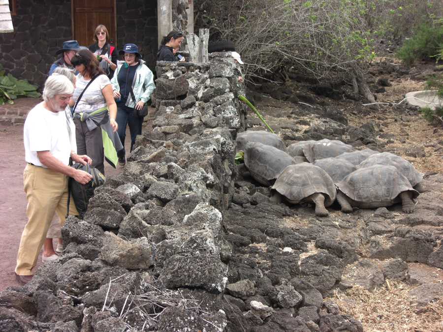 Galapagos-chpt-17-07