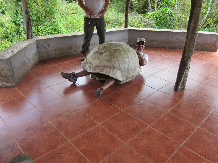 Galapagos-chpt-19-02