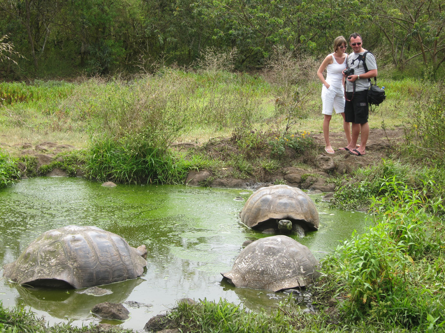 Galapagos-chpt-19-06