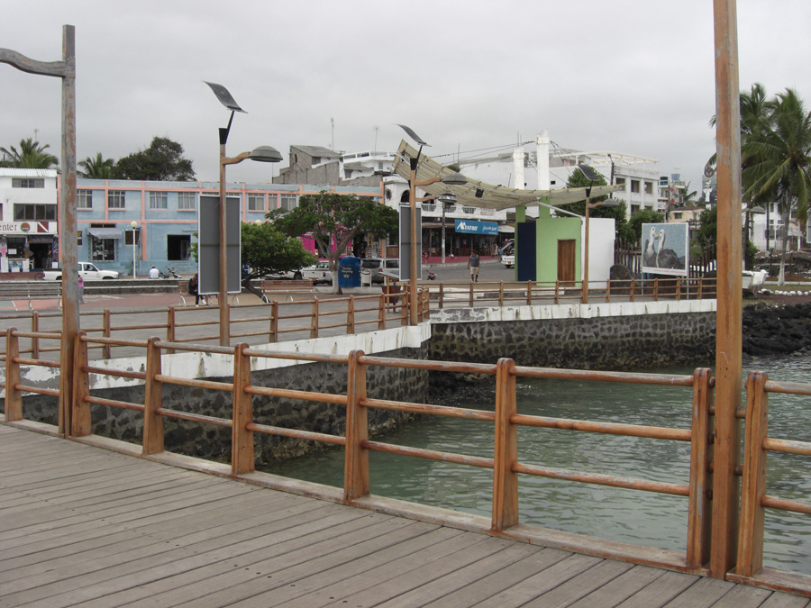 Galapagos-chpt-21-03