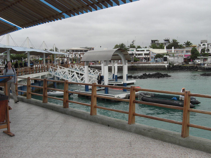 Galapagos-chpt-21-04