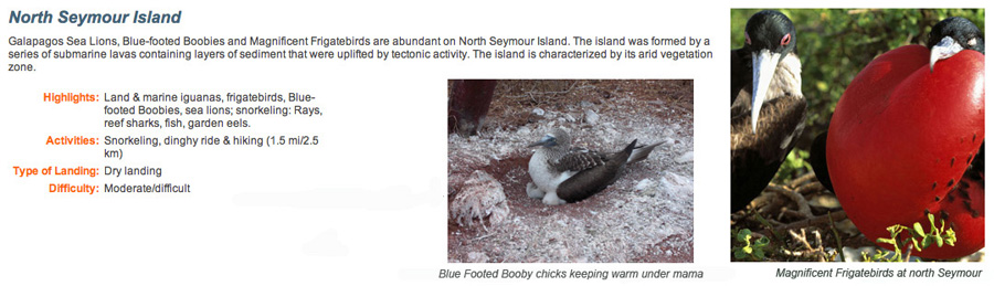 Galapagos-chpt-21-08