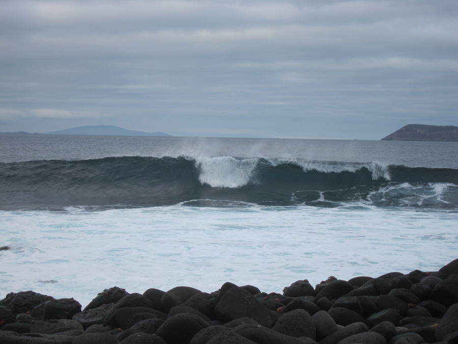 Galapagos-chpt-22-01