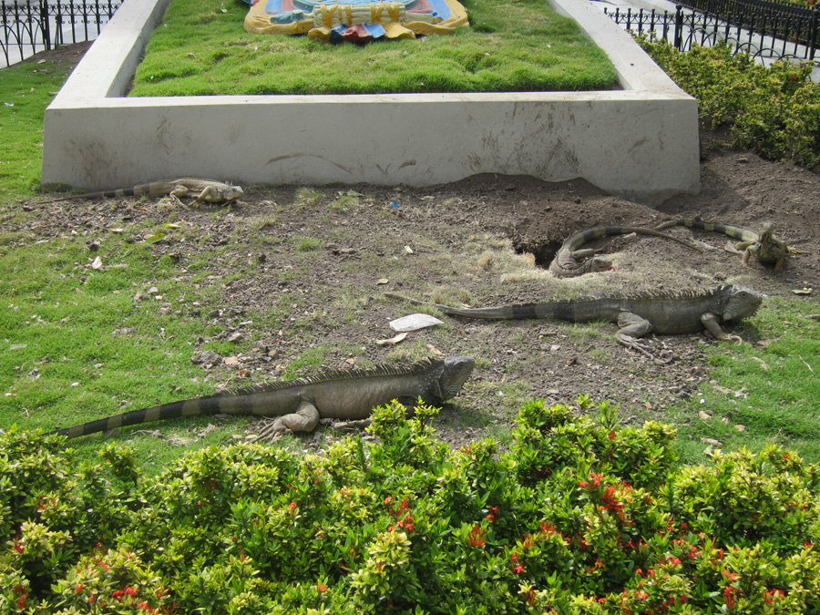 Galapagos-chpt-23-05