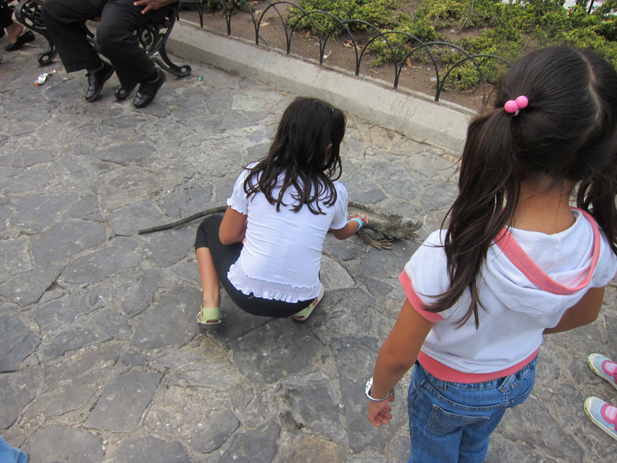 Galapagos-chpt-23-07