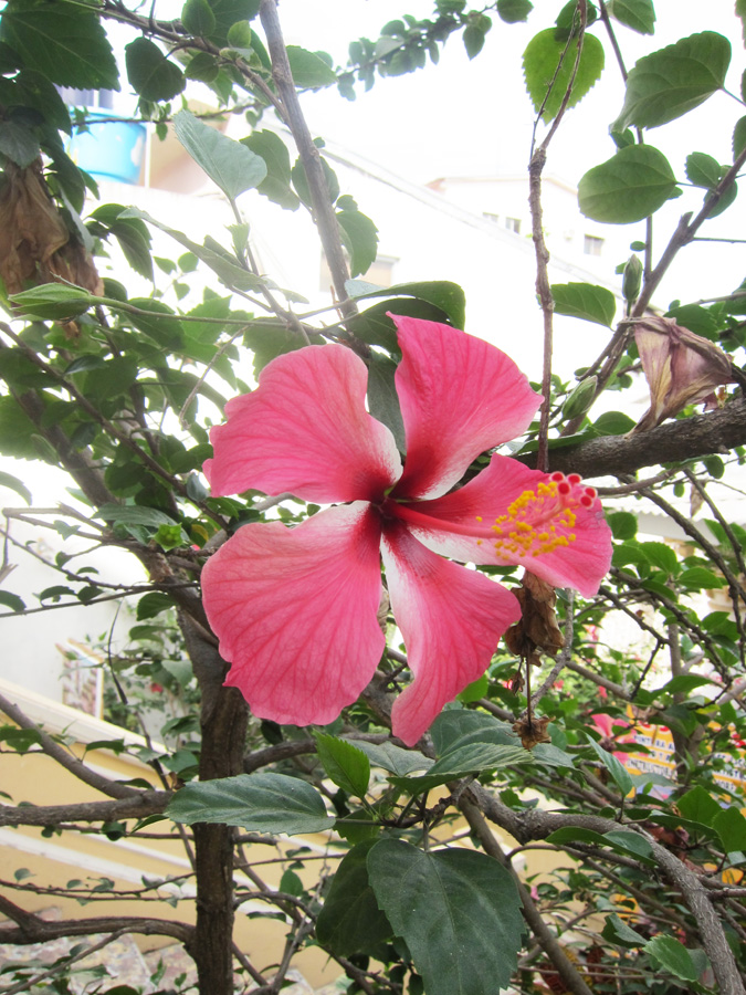 Galapagos-chpt-24-08