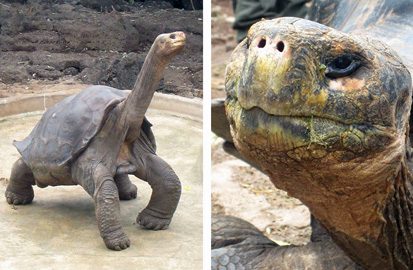 Galapagos-chpt-15-03-title