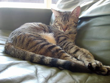 wedding-nov-2010-pete-54