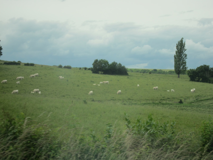 France-2012-chptr04-09