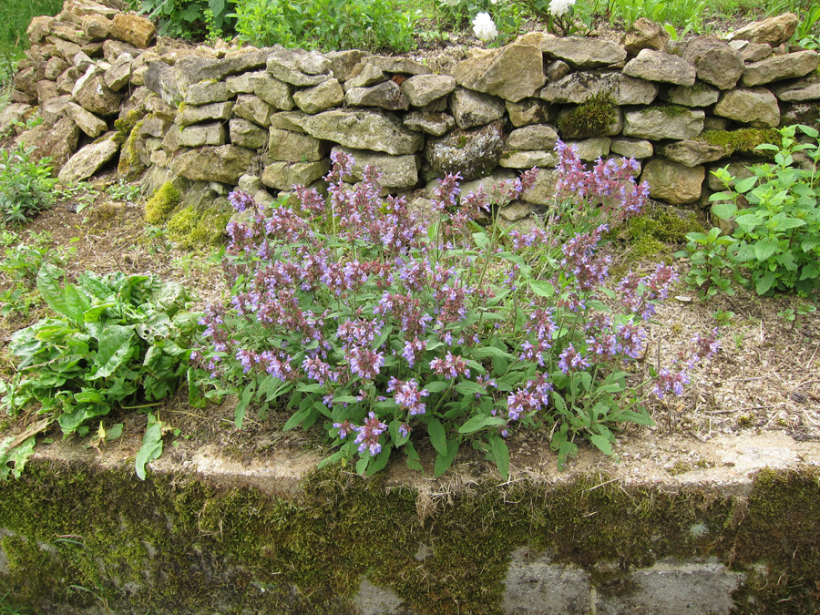 France-2012-chptr07-06