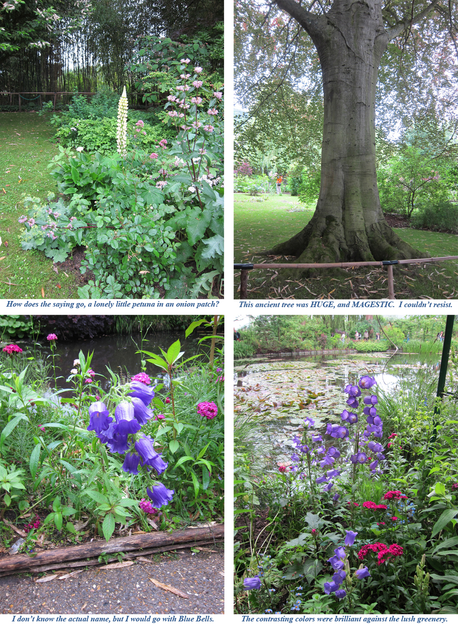 France-2012-chptr11-01