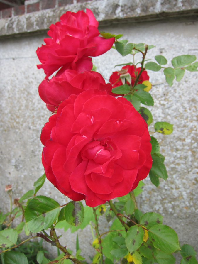 France-2012-chptr15-19