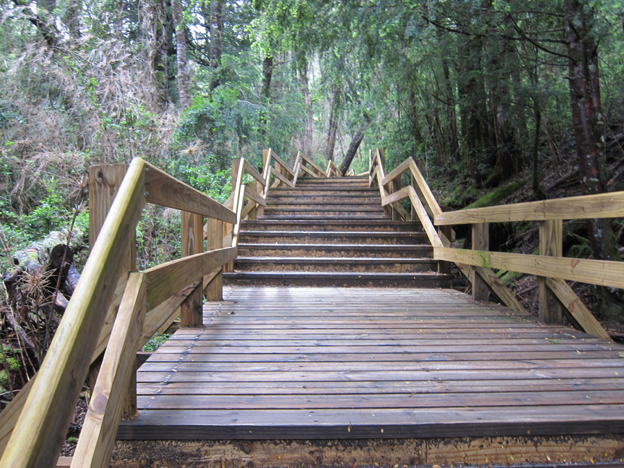 Bariloche-2012-chptr02-09