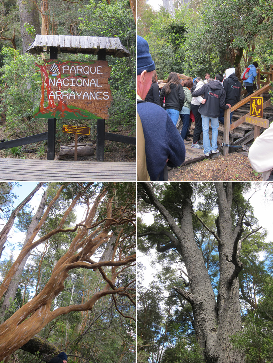 Bariloche-2012-chptr04-13