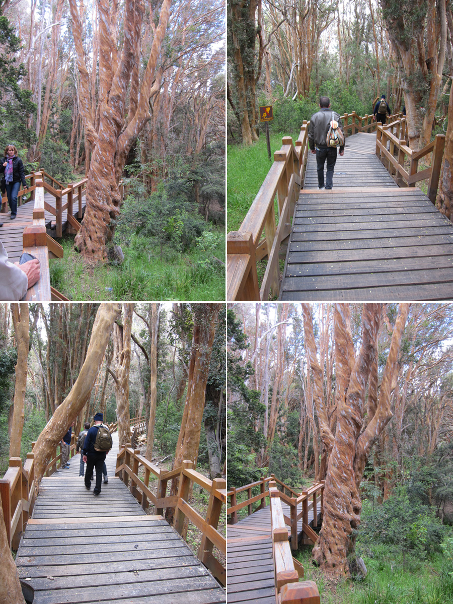 Bariloche-2012-chptr04-15