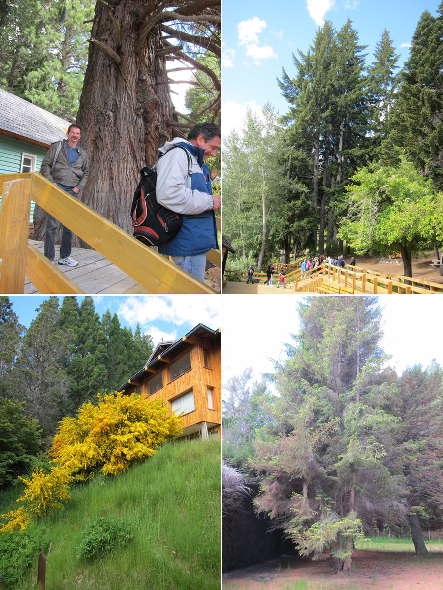 Bariloche-2012-chptr05-02