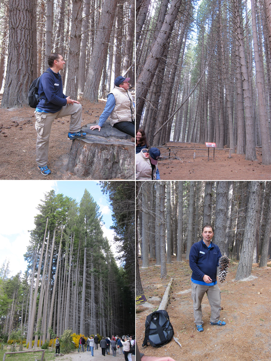 Bariloche-2012-chptr05-03