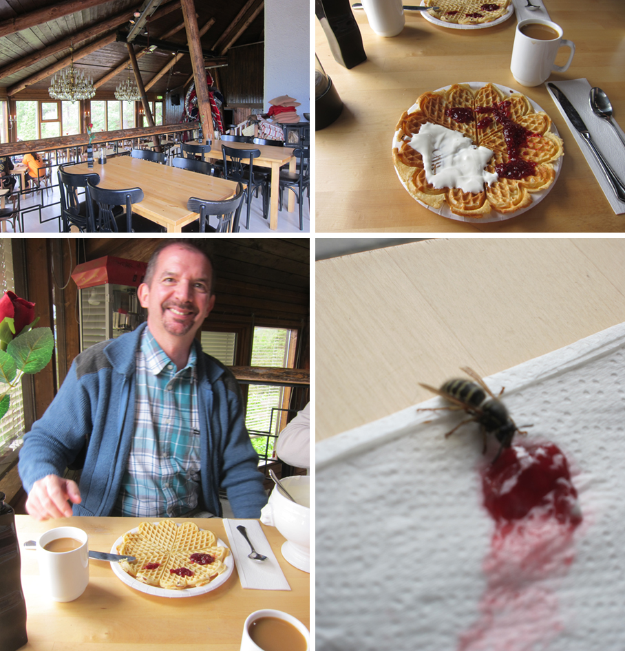 Norway-2014-chptr01-08