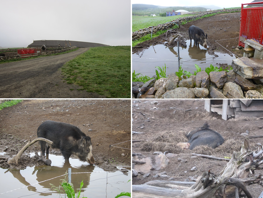 Norway-2014-chptr05-02