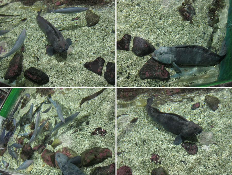 Norway-2014-chptr05-12