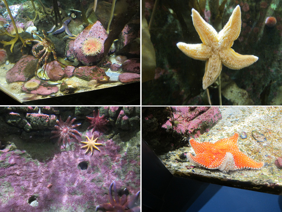 Norway-2014-chptr05-13