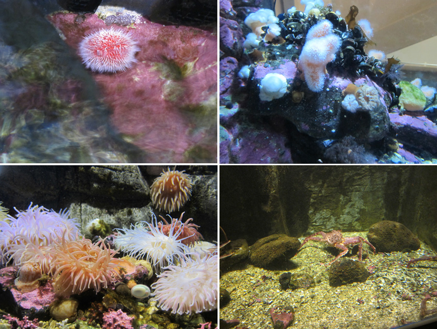 Norway-2014-chptr05-14