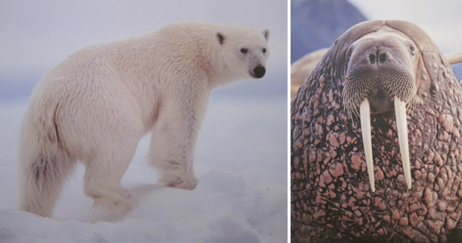 Norway-2014-chptr05-15