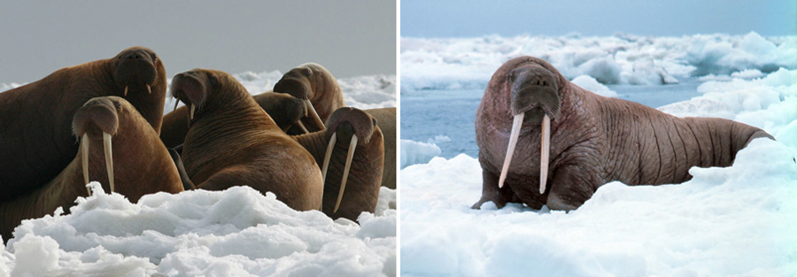 Norway-2014-chptr05-17