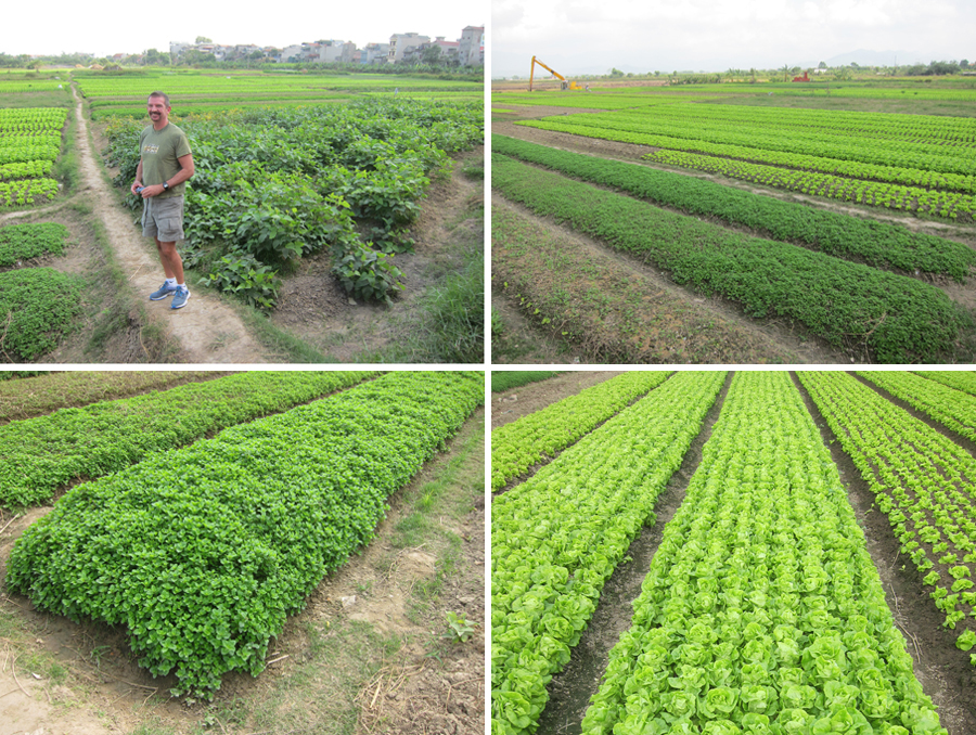 Mekong-2014-chptr02-05