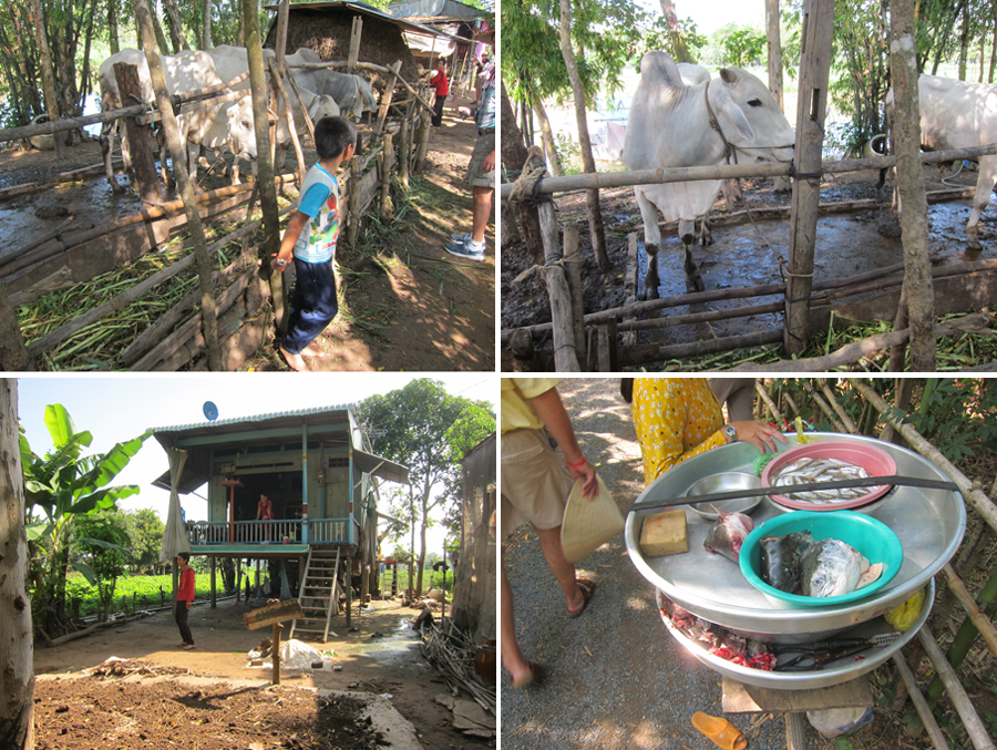 Mekong-2014-chptr13-13