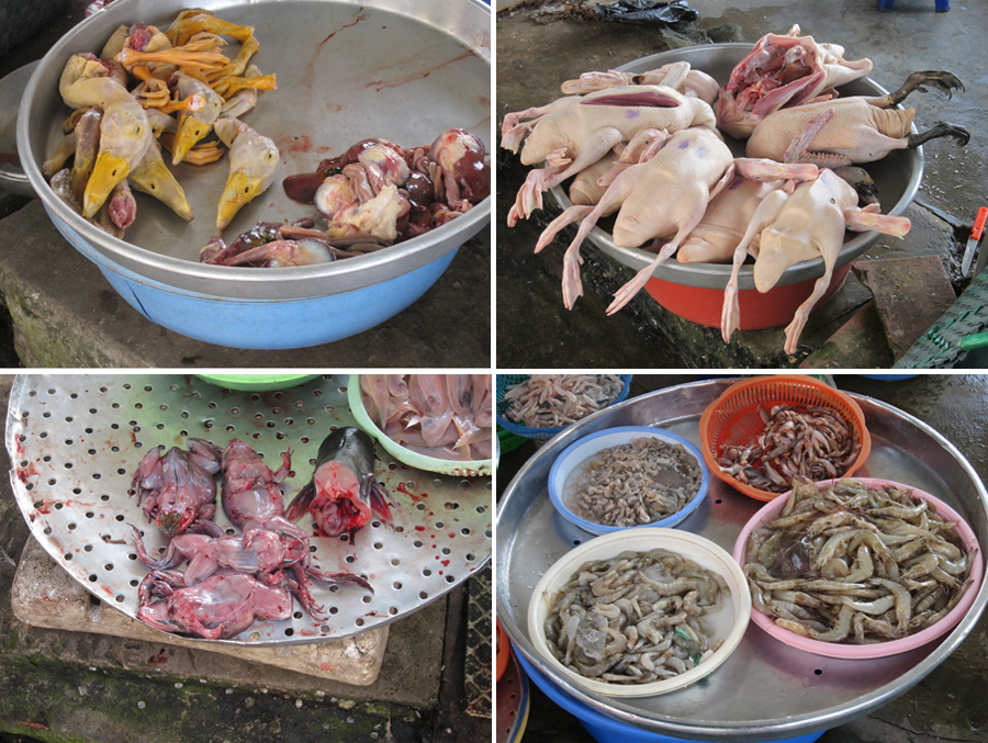 Mekong-2014-chptr15-10