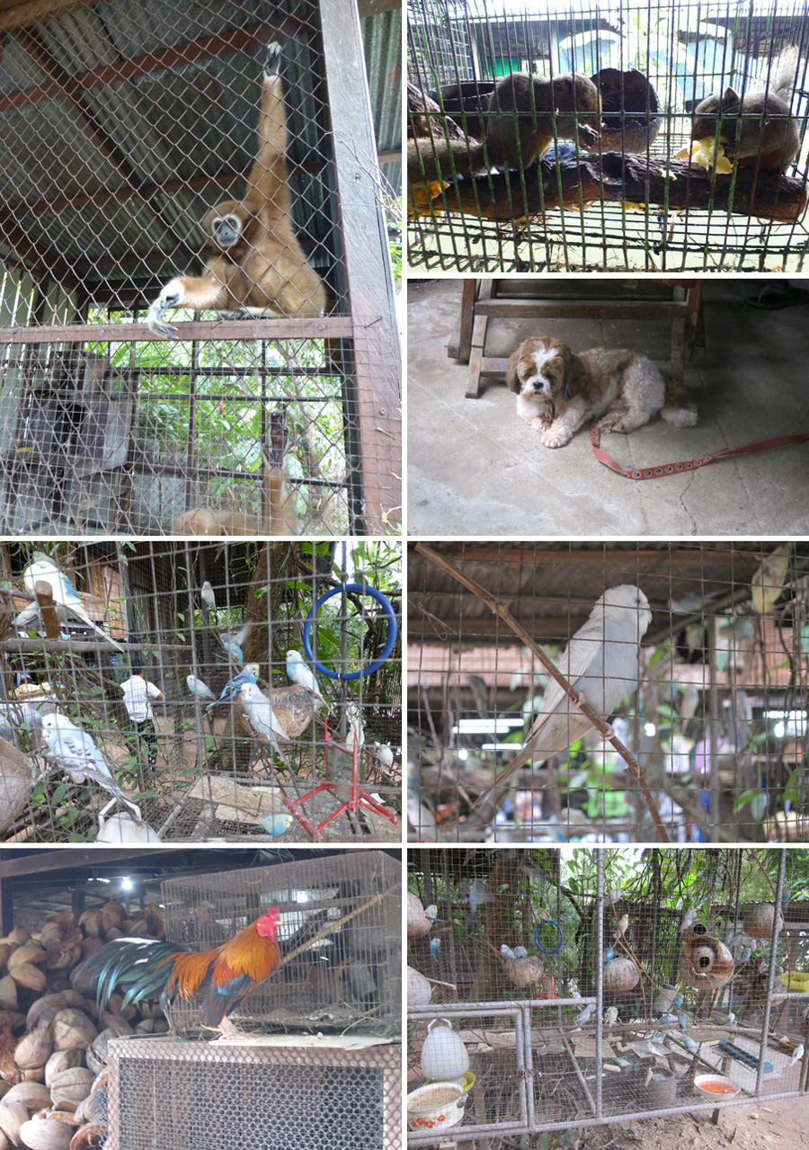 Mekong-2014-chptr19-14